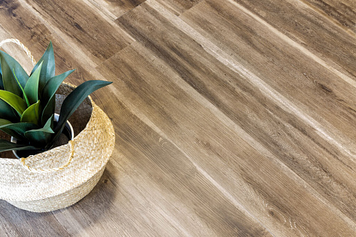 Alpine Floor Easy Line ECO3-12 Орех Светлый