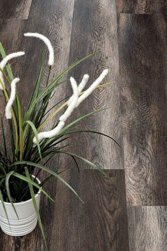 Alpine Floor Easy Line ECO3-ECO3-13 Орех Темный Дополнительное изображение 2